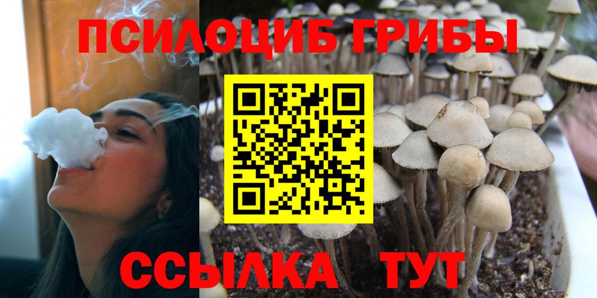 Галлюциногенные грибы мухоморы  Вход с VPN  Фурманов 